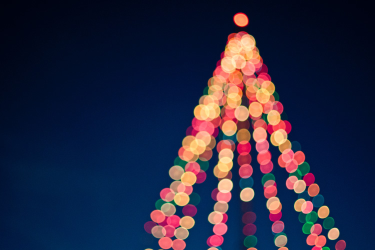 Featured image for “Christmas Tree Charity Event”